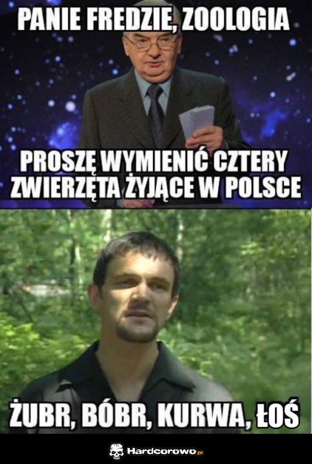 4 zwierzęta - 1