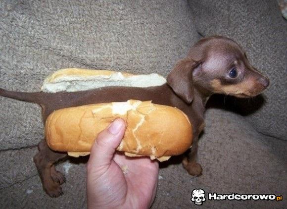 Hot-dog - 1