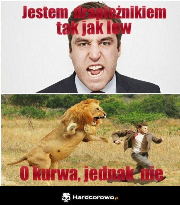 Drapieżny jak lew - 1