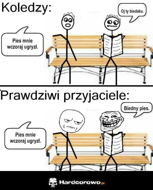 Koledzy a prawdziwi przyjaciele - 1