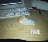 Myszka rucha myszkę