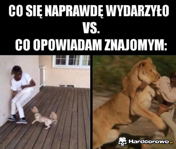 Opowiadane historie - 1