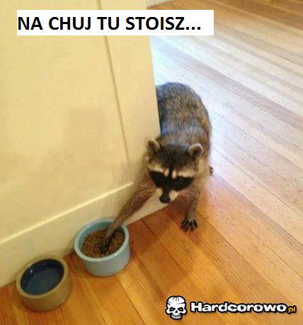 Na chuj tu stoisz? - 1