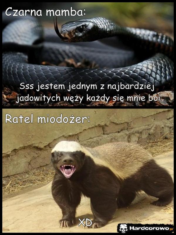  - 1