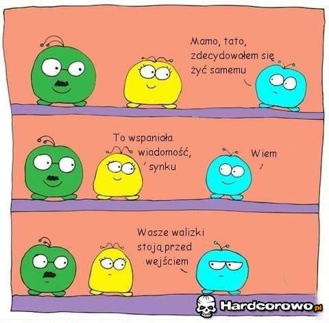 Podjął decyzję - 1