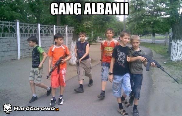 Gang Albanii - 1