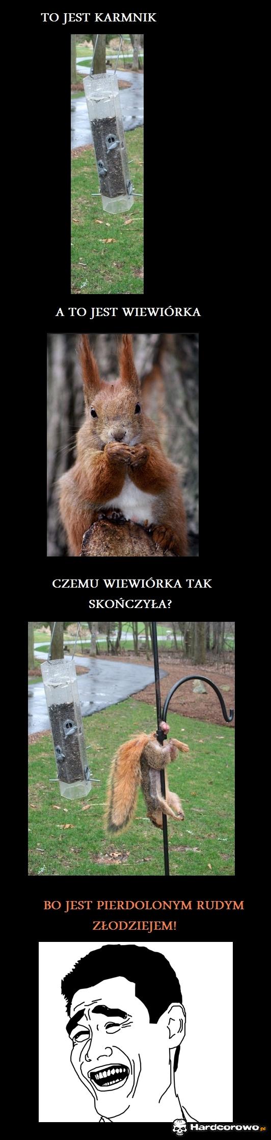 Chciwość rudego - 1