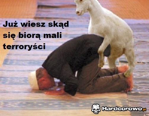 Skąd się biorą terroryści? - 1