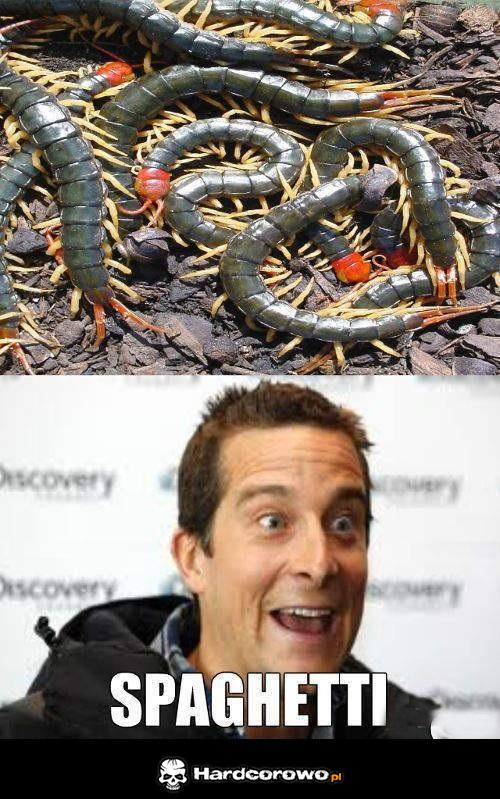 Spaghetti - 1