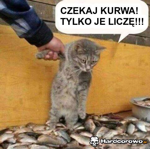 Czekaj kurwa! - 1