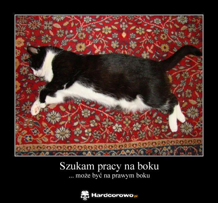 Praca na boku  - 1