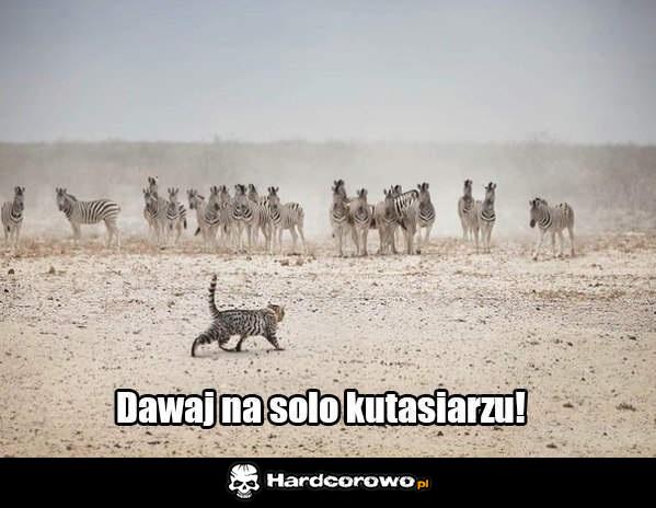 Dawaj na solo - 1
