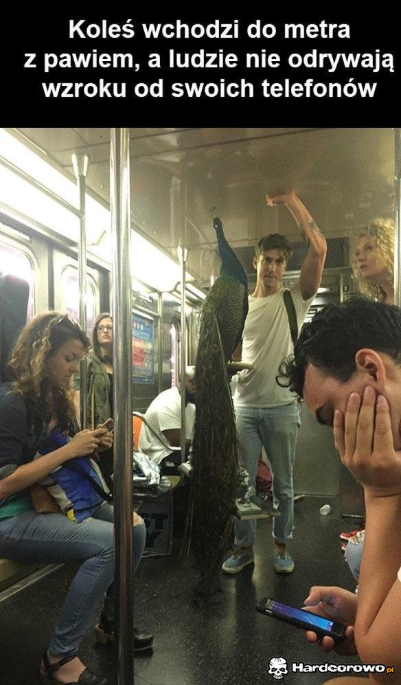 Telefony najważniejsze - 1