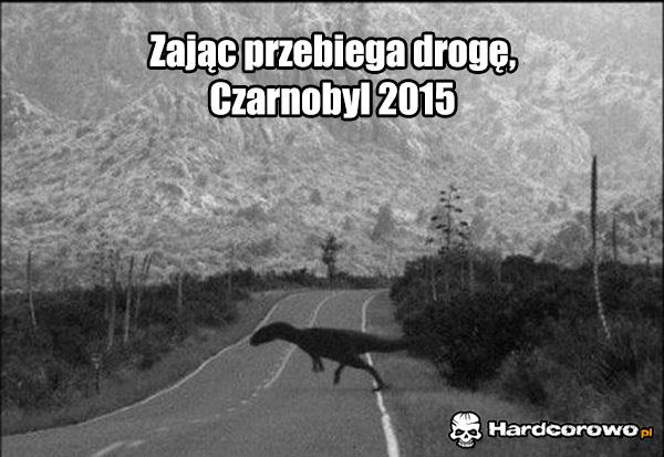 Piękne zdjęcie - 1