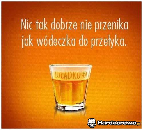 Nic tak dobrze nie przenika  - 1