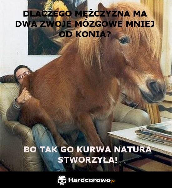 Mężczyzna  - 1