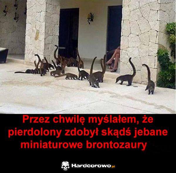 Brontozaury - 1