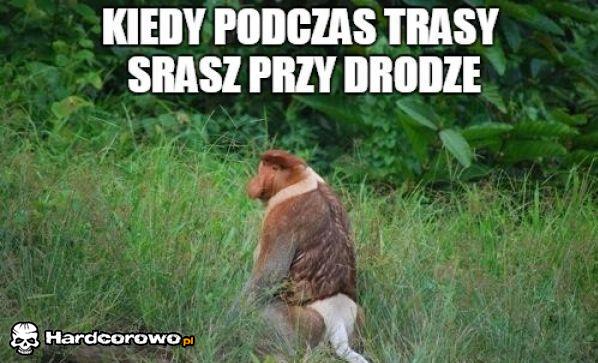 Podczas trasy - 1