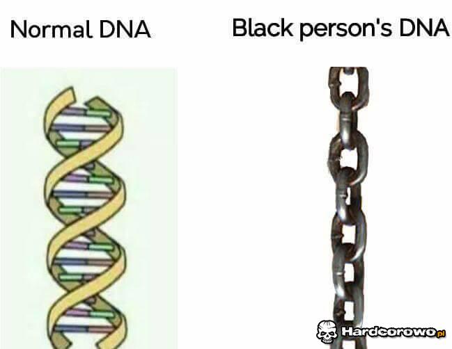 DNA - 1