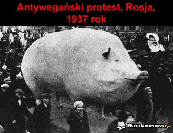 Antywegański protest - 1