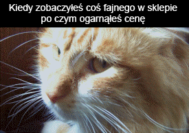 Kiedy zobaczyłeś coś fajnego w sklepie - 1