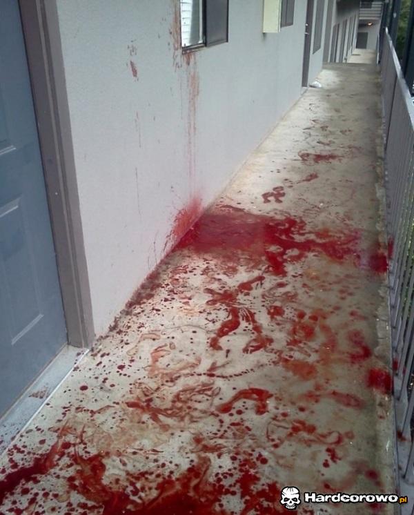 Coś tu się działo - 1