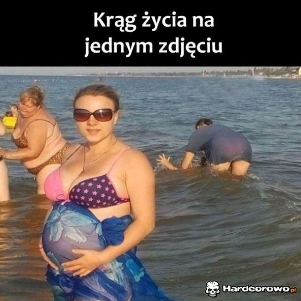 Krąg życia - 1