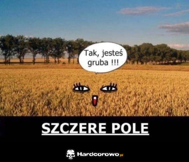 Szczere pole - 1