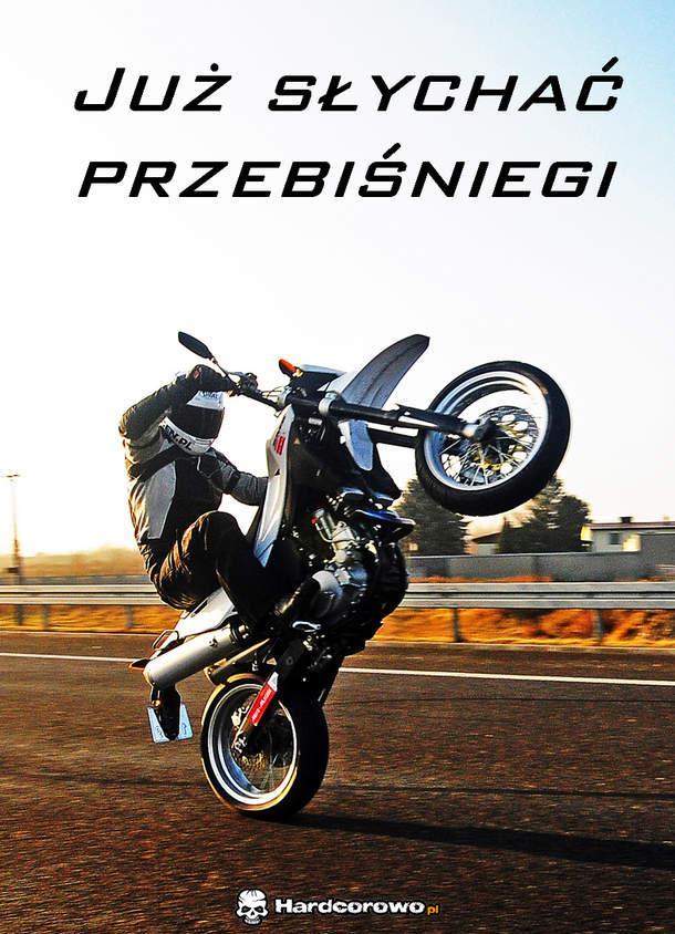 Przebiśniegi - 1
