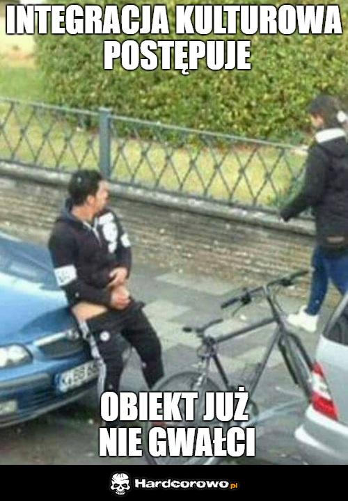 Prawie w pełni zintegrowany - 1