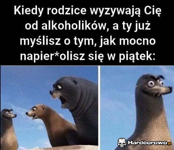 Imprezowe życie - 1