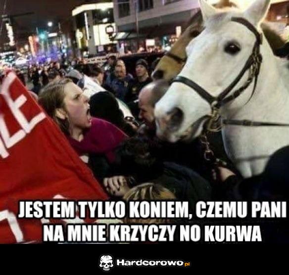 Skąd w nich tyle agresji - 1