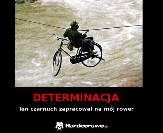 Determinacja - 1