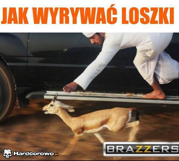 Jak wyrywać loszki - 1