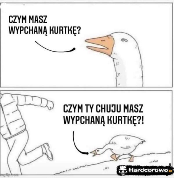  - 1