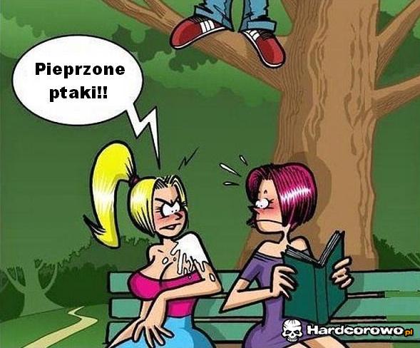 Pieprzone ptaki - 1