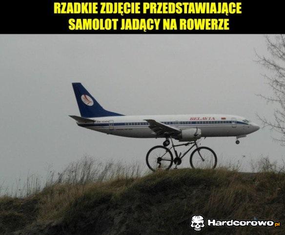 Niewiarygodne - 1