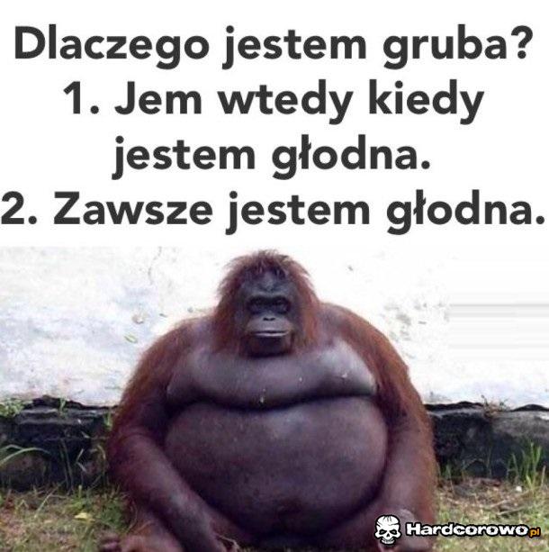 Dlaczego jestem gruba - 1