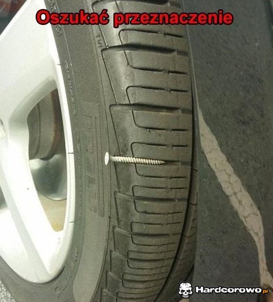 Fuks! - 1