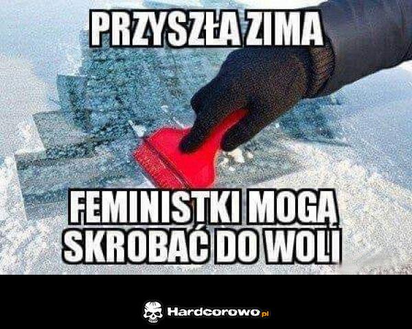 Przyszła zima - 1