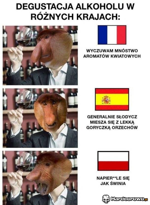 Degustacja alkoholu - 1