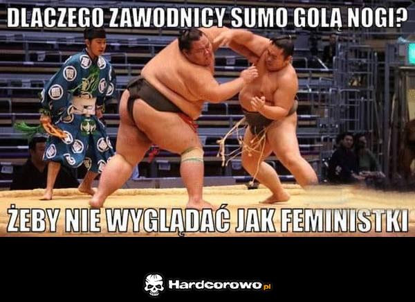 Zawodnicy sumo - 1
