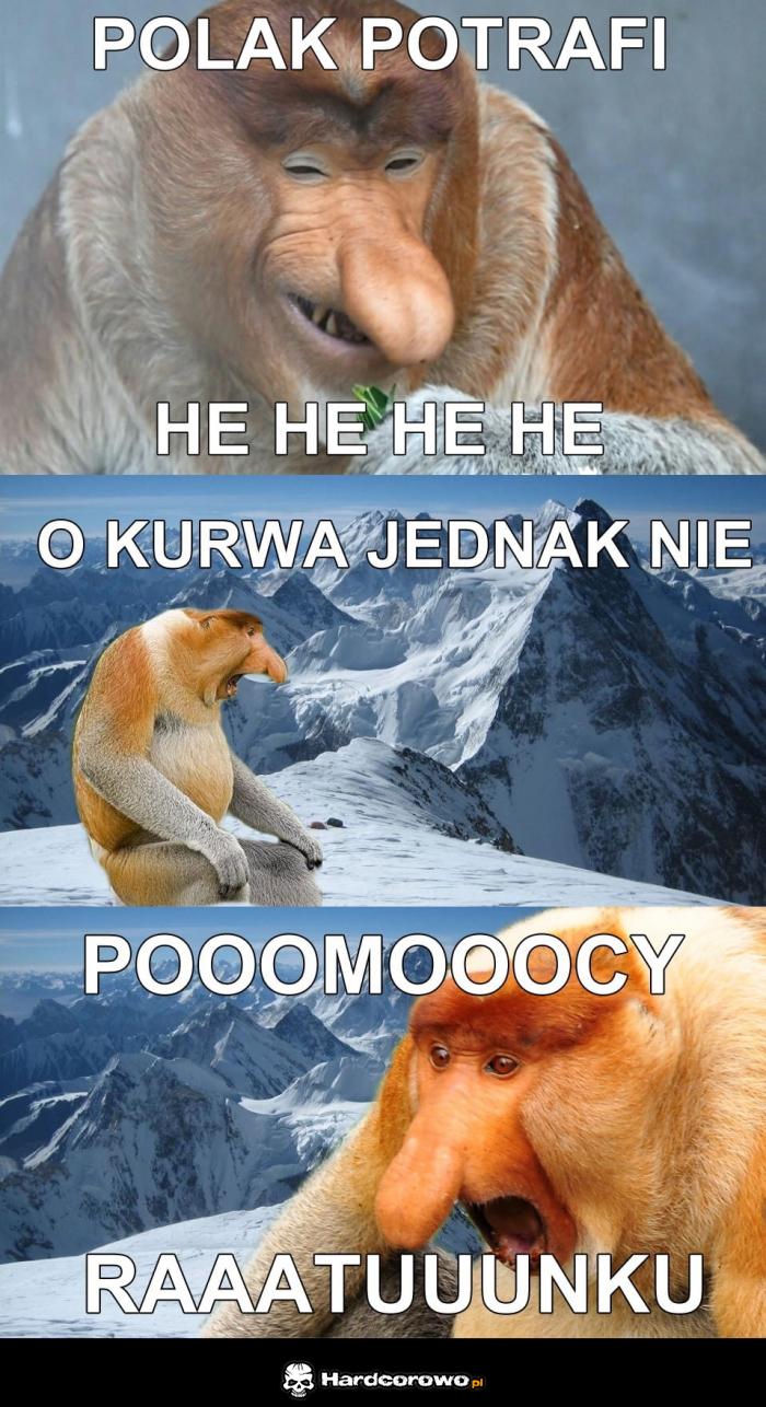 Polak potrafi - 1