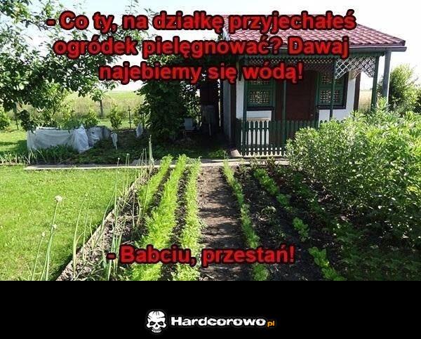 Odwiedziny u babci - 1