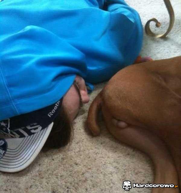 Słodkich snów! - 1