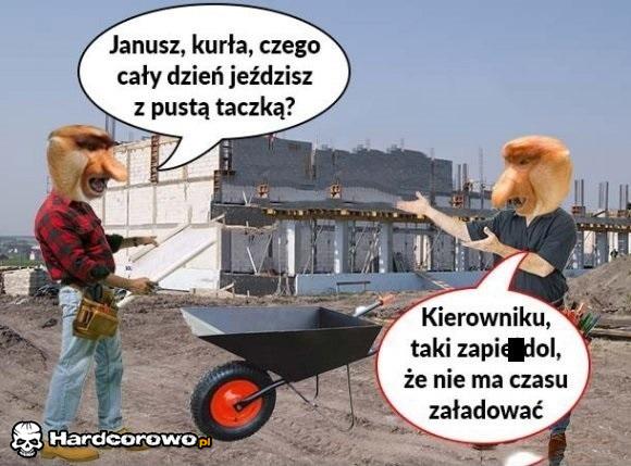Janusz na budowie - 1