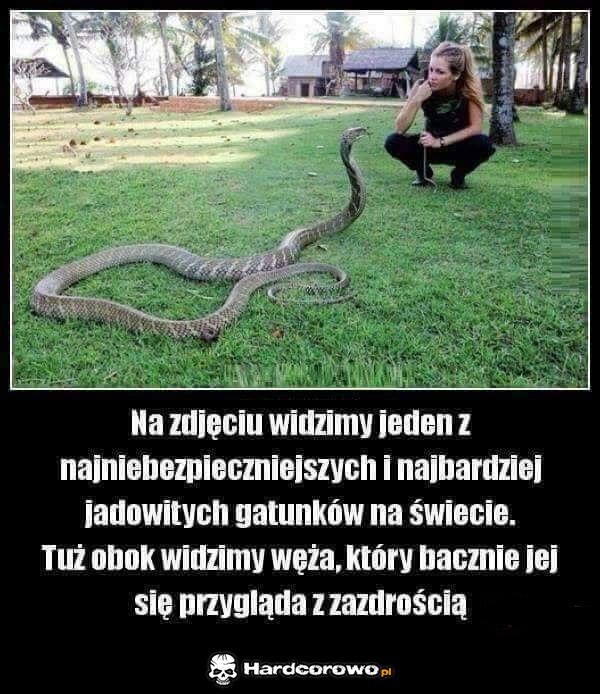 Jadowity gatunek - 1