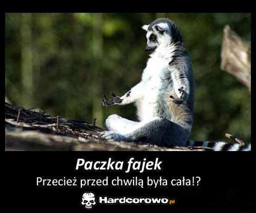 Paczka fajek - 1