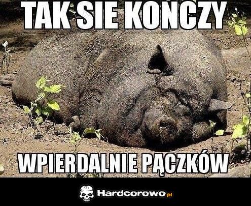 Tak się kończy  - 1