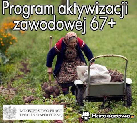 Program aktywizacji - 1